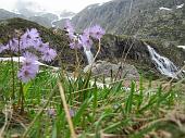 23 Tra i fiori